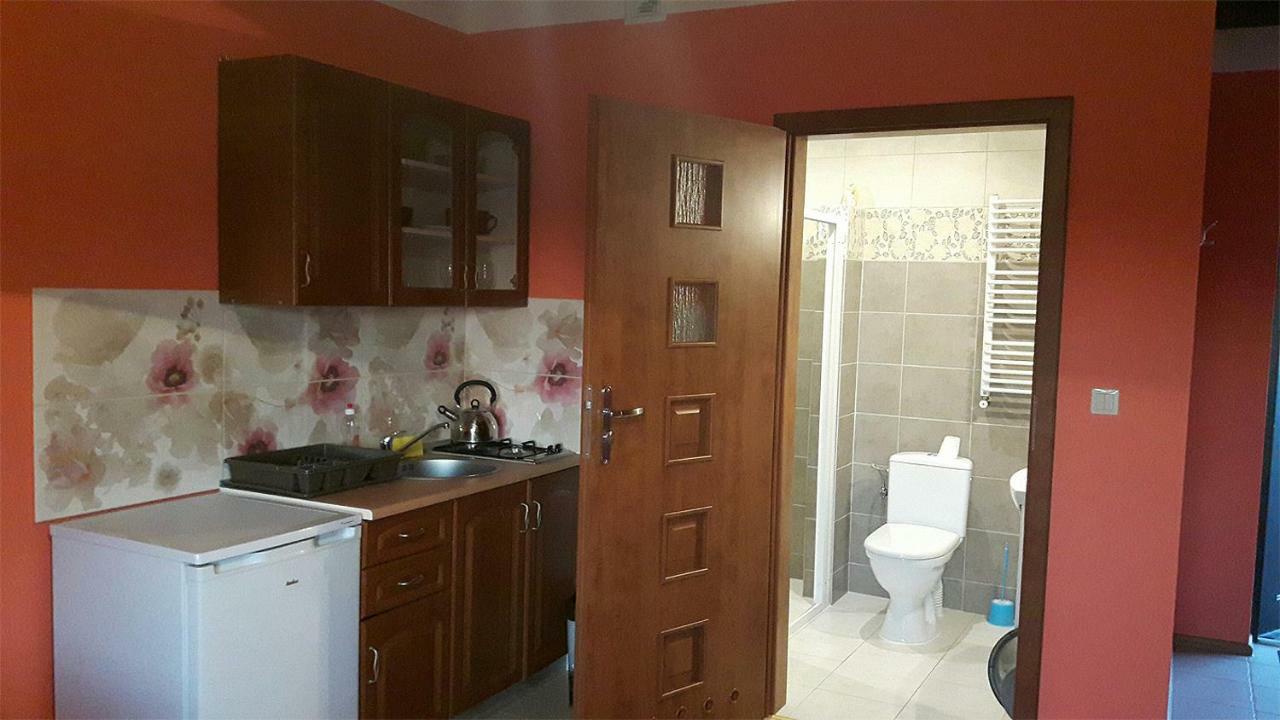 Apartamenty "Anusia" Ledzin Exterior photo